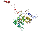 Transmembrane Protein 201 (TMEM201)