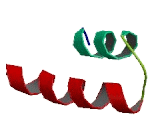 Transmembrane Protein 203 (TMEM203)