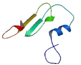 Transmembrane Protein 206 (TMEM206)