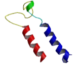 Transmembrane Protein 207 (TMEM207)