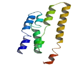 Transmembrane Protein 208 (TMEM208)