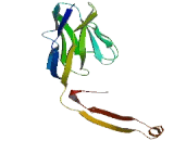 Transmembrane Protein 209 (TMEM209)