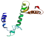 Transmembrane Protein 211 (TMEM211)