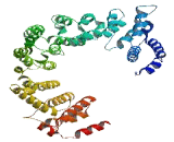 Transmembrane Protein 214 (TMEM214)