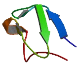 Transmembrane Protein 215 (TMEM215)