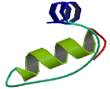 Transmembrane Protein 218 (TMEM218)