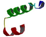 Transmembrane Protein 223 (TMEM223)