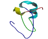 Transmembrane Protein 225 (TMEM225)