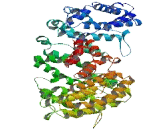 Transmembrane Protein 232 (TMEM232)