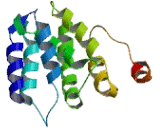 Transmembrane Protein 234 (TME<b>M234</b>)