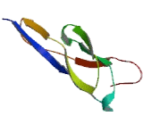 Transmembrane Protein 236 (TMEM236)