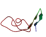 Transmembrane Protein 239 (TMEM239)