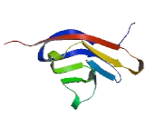 Transmembrane Protein 25 (TMEM25)