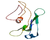 Transmembrane Protein 30B (TMEM30B)