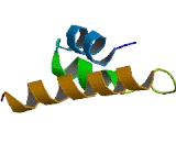 Transmembrane Protein 30C (TMEM30C)