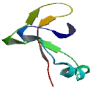 Transmembrane Protein 37 (TMEM37)