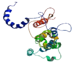 Transmembrane Protein 39B (TMEM39B)