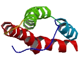 Transmembrane Protein 42 (TMEM42)