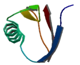 Transmembrane Protein 45A (TMEM45A)