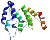 Transmembrane Protein 50A (TMEM50A)