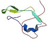 Transmembrane Protein 50B (TMEM50B)