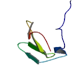 Transmembrane Protein 52 (TMEM52)