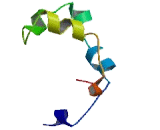 Transmembrane Protein 53 (TMEM53)