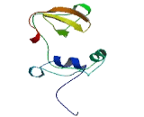 Transmembrane Protein 55B (TMEM55B)