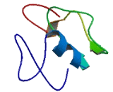 Transmembrane Protein 56 (TMEM56)