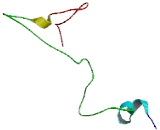 Transmembrane Protein 57 (TMEM57)