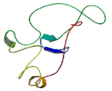 Transmembrane Protein 59 (TMEM59)