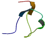 Transmembrane Protein 63B (TMEM63B)