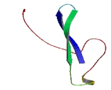 Transmembrane Protein 65 (TMEM65)