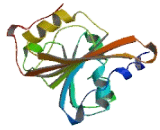 Transmembrane Protein 72 (TMEM72)