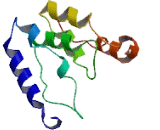 Transmembrane Protein 78 (TMEM78)