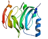 Transmembrane Protein 79 (TMEM79)