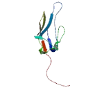 Transmembrane Protein 81 (TMEM81)