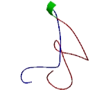 ER Membrane Protein Complex Subunit 4 (EMC4)