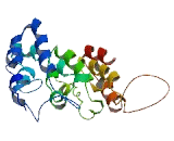 Transmembrane Protein 86A (TMEM86A)