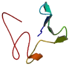 Transmembrane Protein 8B (TMEM8B)