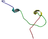 Transmembrane Protein 92 (TMEM92)