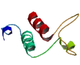 Transmembrane Protein 93 (TMEM93)