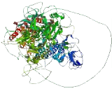 Transmembrane Protein 94 (TMEM94)