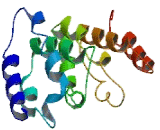 Transmembrane Protein 95 (TMEM95)