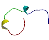 Transmembrane Protein 98 (TMEM98)