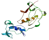 Transmembrane Protein 99 (TMEM99)