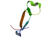 Transmembrane Protein 9B (TMEM9B)