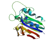 Transmembrane Protein With Metallophosphoesterase (TMPPE)