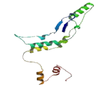 Treacher Collins Franceschetti Syndrome Protein 1 (TCOF1)