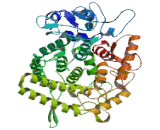 Trehalase (TREH)